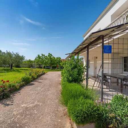 Pet Friendly In Skabrnja With Kitchen